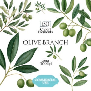 May include: A collection of digital olive branch illustrations featuring various green leaves and round olives. The text reads 60 Clipart Elements, OLIVE BRANCH, .png 300 dpi, and COMMERCIAL USE. These botanical graphics are rendered in shades of green.