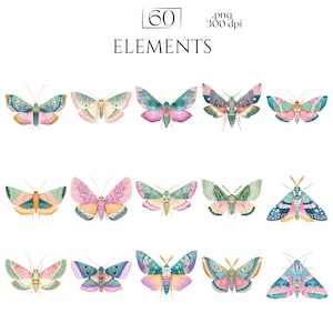 Pastel Moths Clipart, Watercolor Moth Illustrations, Colorful Moth PNG Graphics (60 Files, Transparent Background)