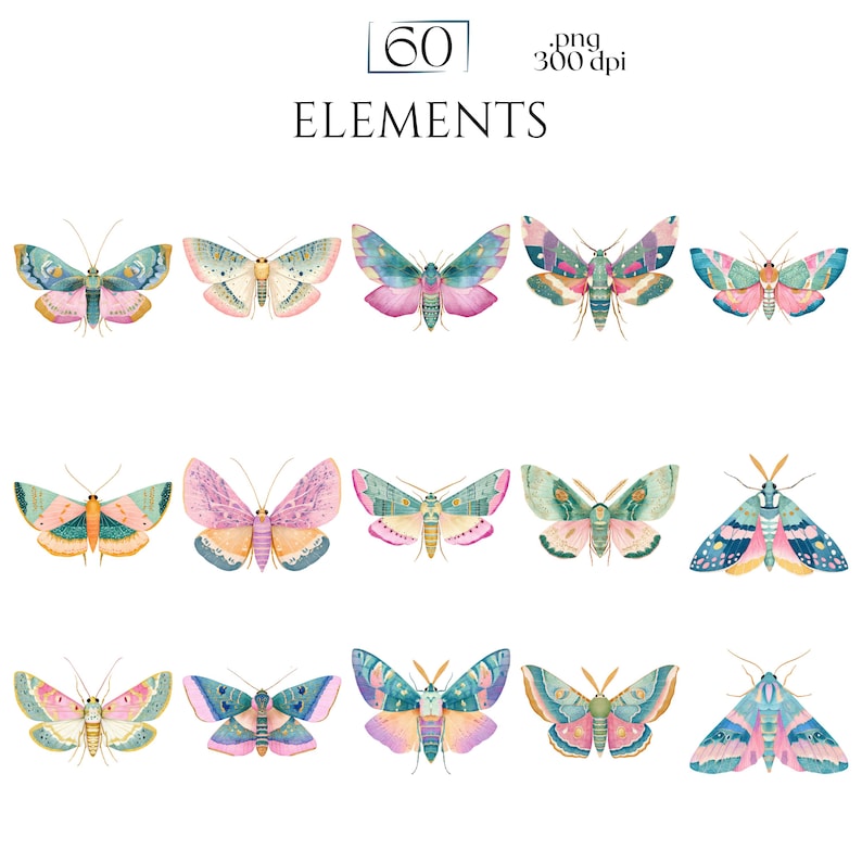 Pastel Moths Clipart, Watercolor Moth Illustrations, Colorful Moth PNG Graphics (60 Files, Transparent Background)