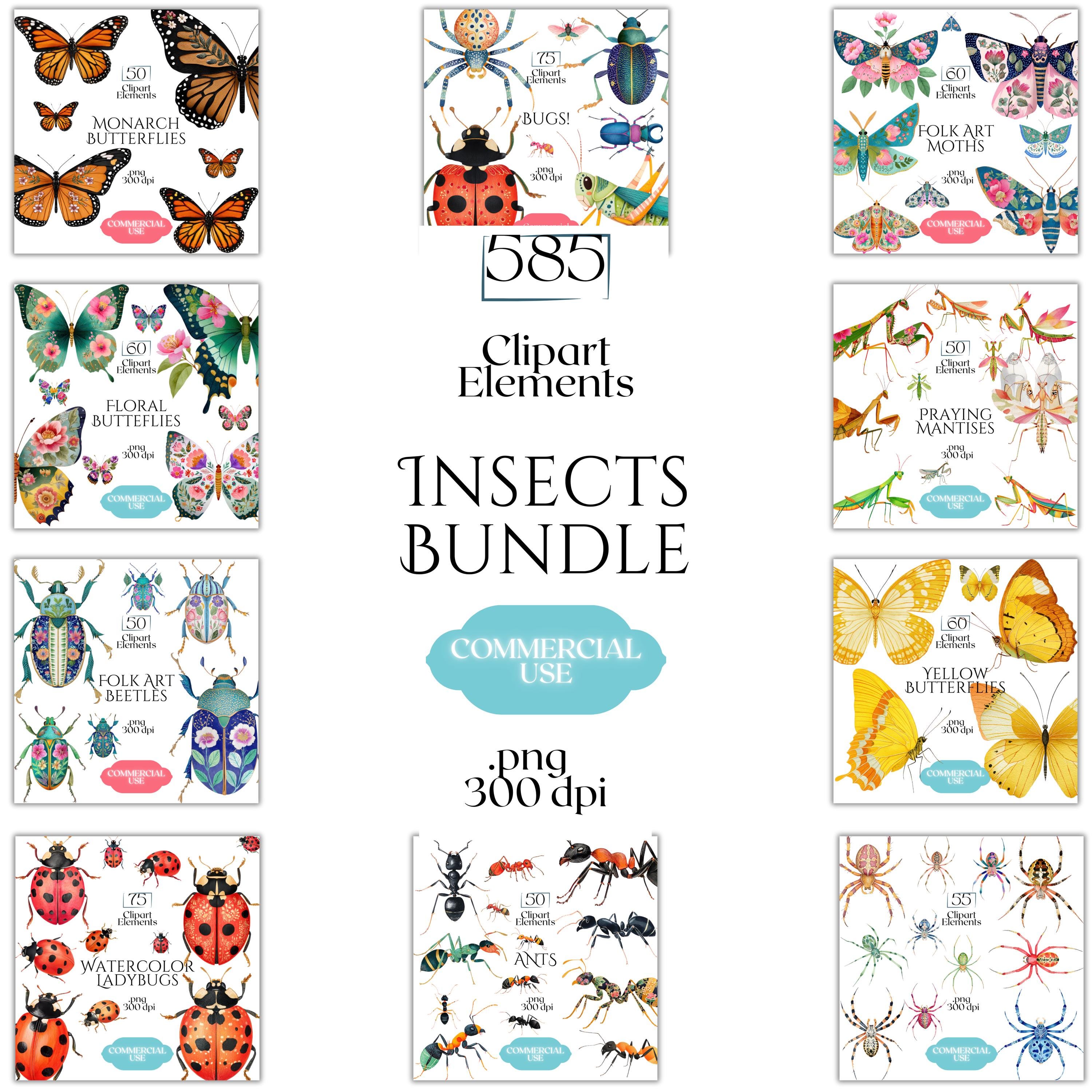 Insect Clipart Mega Bundle, Bug PNG Graphics, Butterfly Beetle Ant ...