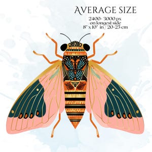 Art Deco Insect Clipart, Vintage Bug Graphics, Modern Cicada Dragonfly Moth Illustrations (50 Files, Transparent Background)