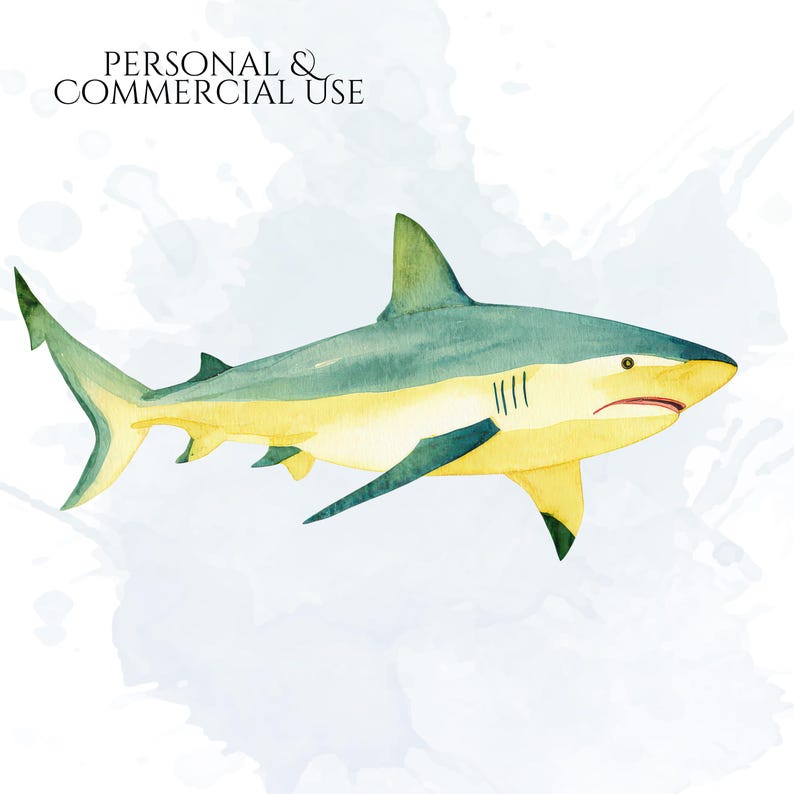 Shark Clipart, Watercolor Shark Illustrations, Shark Graphics for Kids' Room, Classroom Decor, Invitations, Branding & Print on Demand