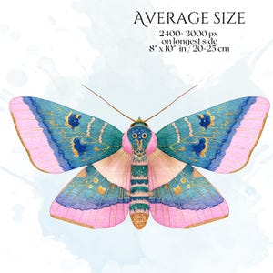 Pastel Moths Clipart, Watercolor Moth Illustrations, Colorful Moth PNG Graphics (60 Files, Transparent Background)