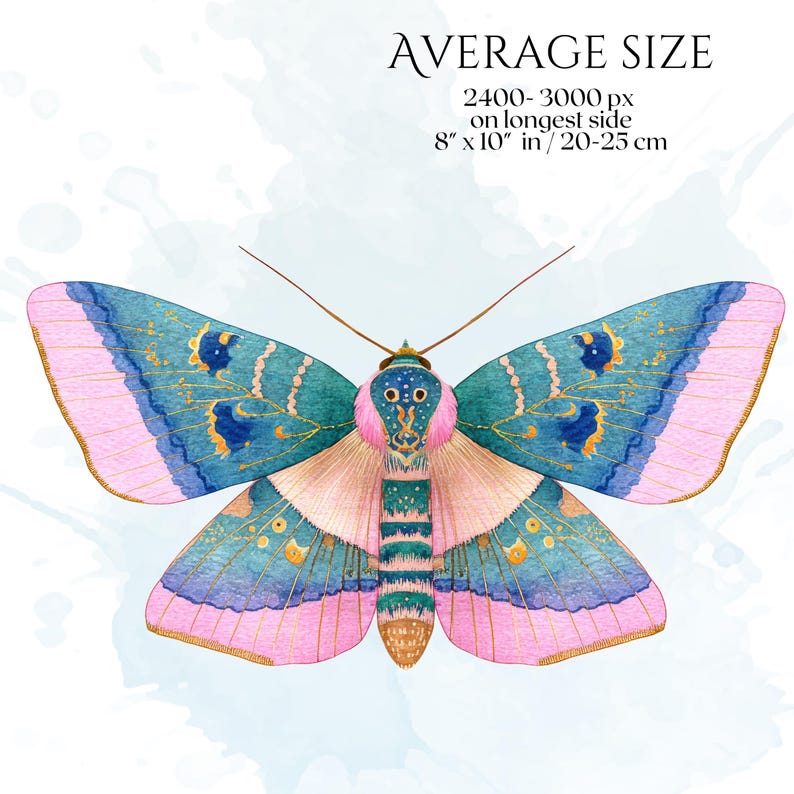Pastel Moths Clipart, Watercolor Moth Illustrations, Colorful Moth PNG Graphics (60 Files, Transparent Background)