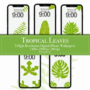 Handgezeichnete Tropische Blätter iPhone Android Hintergrundbilder, Minimalistischer botanischer Sperrbildschirm, minimale Natur-Pflanzen-Hintergrundbilder, digitaler Download