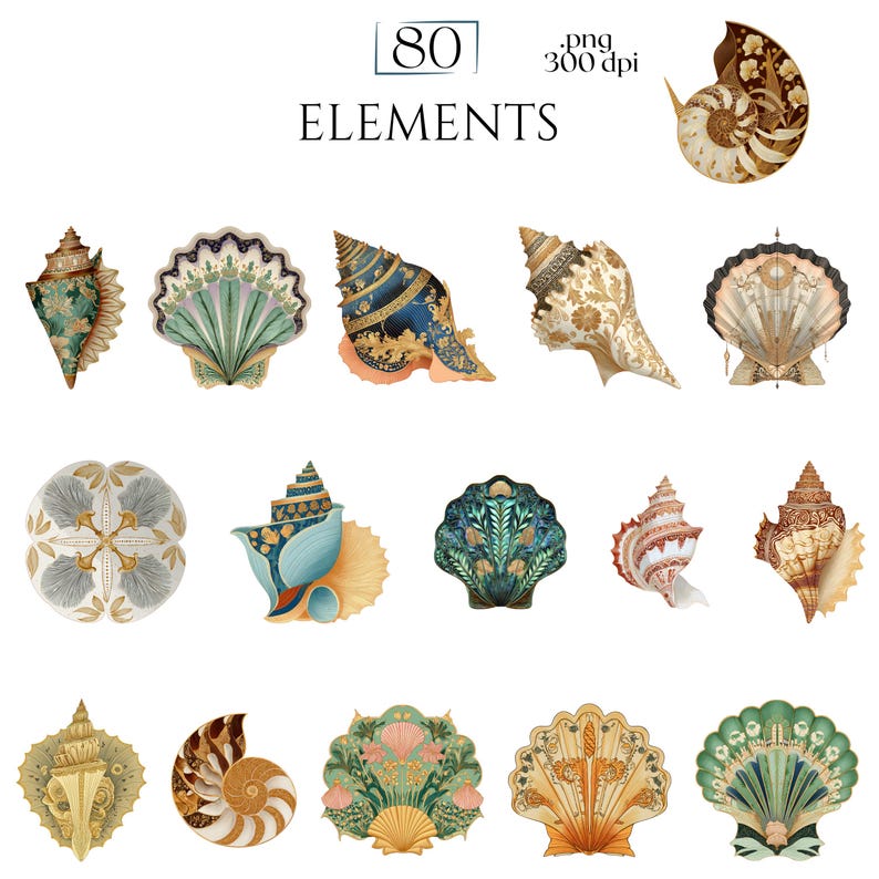 Art Nouveau Seashells Clipart, Ornamental Vintage Sea Shell PNG Graphics with Transparent Background for Branding, Decor & POD