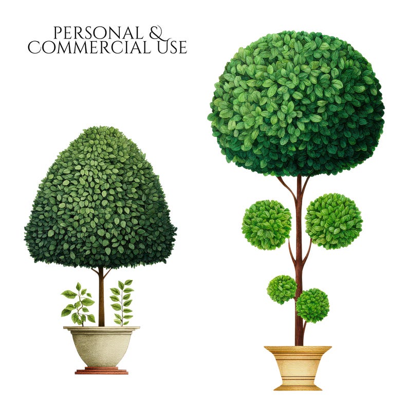 Topiary Clipart, Garden Tree Elements, Potted Greenery Clip Art, Formal Landscape Decorative Plant Illustrations Commercial Use Plant Images
