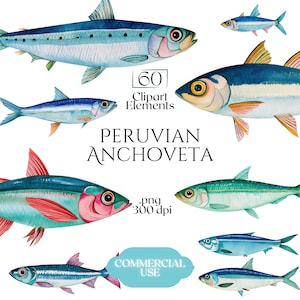 Puede incluir: Una colección de ilustraciones en acuarela que muestran varios peces anchoveta peruanos en tonos azules, verdes y rosas. El texto dice 60 Clipart Elements, PERUVIAN ANCHOVETA, .png 300 dpi y COMMERCIAL USE en una etiqueta azul claro.