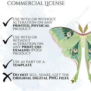 Art Deco Insect Clipart, Vintage Bug Graphics, Modern Cicada Dragonfly Moth Illustrations (50 Files, Transparent Background)