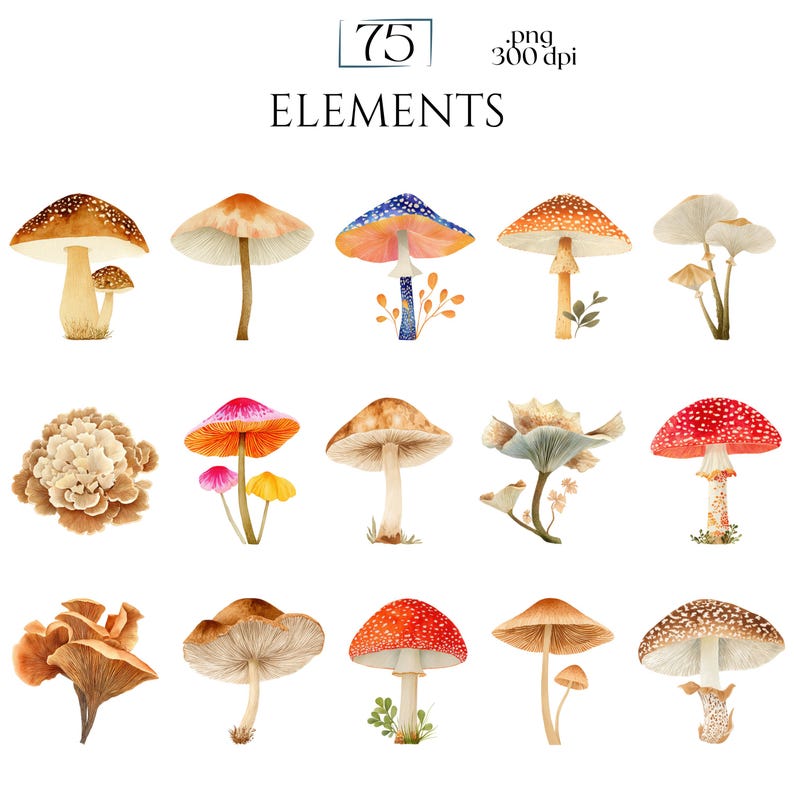 Watercolor Mushroom Clipart, Botanical Mushroom Graphics, Woodland Fungi Illustrations (75 Files, Transparent Background)