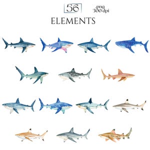 Shark Clipart, Watercolor Shark Illustrations, Shark Graphics for Kids' Room, Classroom Decor, Invitations, Branding & Print on Demand