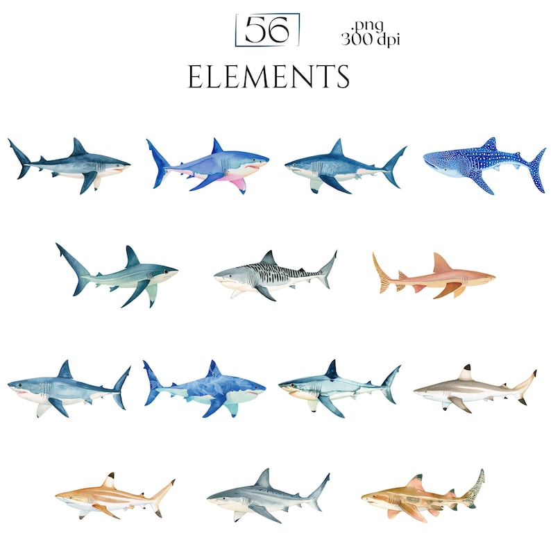 Shark Clipart, Watercolor Shark Illustrations, Shark Graphics for Kids' Room, Classroom Decor, Invitations, Branding & Print on Demand