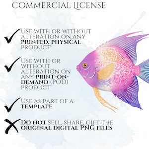 Pastel Fish Clipart, Delicate Coastal PNG Graphics, Tropical Fish Illustrations (60 Files, Transparent Background)