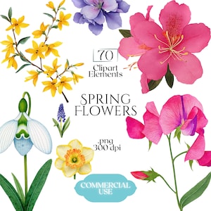 Può includere: Illustrazione ad acquerello di vari fiori primaverili, tra cui forsizia gialla, fiori viola e vibranti azalee rosa. L'immagine include il testo "Spring Flowers" e "70 Clipart Elements".
