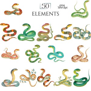 Watercolor Snakes Clipart, Colorful Snake Illustrations, Reptile PNG Elements for Crafts, Serpent Graphics for Classroom Decor, Junk Journal
