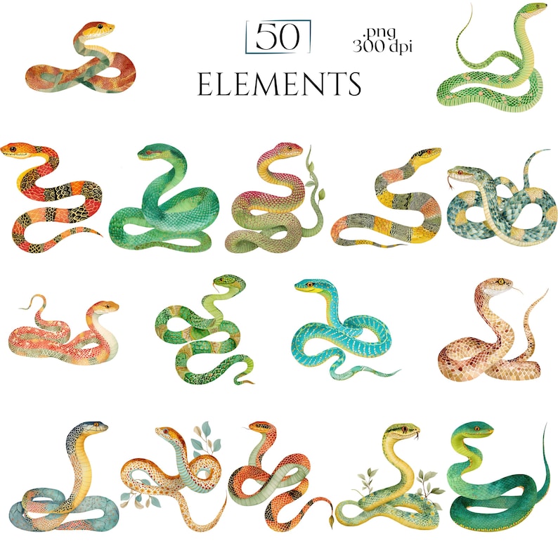 Watercolor Snakes Clipart, Colorful Snake Illustrations, Reptile PNG Elements for Crafts, Serpent Graphics for Classroom Decor, Junk Journal