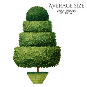 Topiary Clipart, Garden Tree Elements, Potted Greenery Clip Art, Formal Landscape Decorative Plant Illustrations Commercial Use Plant Images