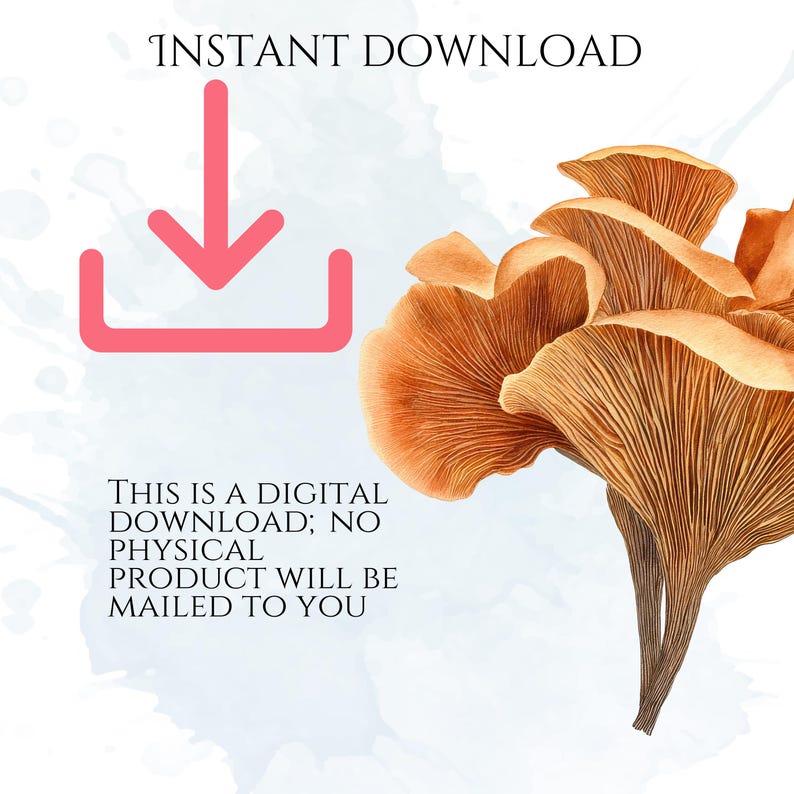 Watercolor Mushroom Clipart, Botanical Mushroom Graphics, Woodland Fungi Illustrations (75 Files, Transparent Background)