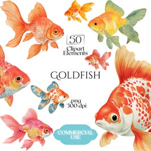 May include: Watercolor illustrations of goldfish in various poses and colors, including orange, red, yellow, and blue. The image includes the text "GOLDFISH", "50 Clipart Elements", and "Commercial Use".