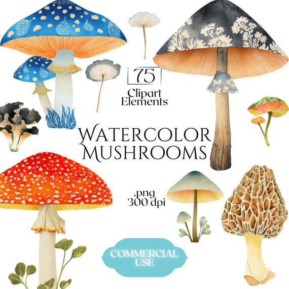 Watercolor Mushroom Clipart, Botanical Mushroom Graphics, Woodland Fungi Illustrations (75 Files, Transparent Background)