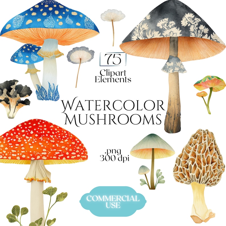 Watercolor Mushroom Clipart, Botanical Mushroom Graphics, Woodland Fungi Illustrations (75 Files, Transparent Background)