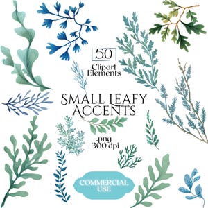 Puede incluir: Una colección de 50 elementos de imágenes prediseñadas de acuarela con pequeños acentos de hojas en tonos de azul, verde y marrón. Se muestra el texto "Small Leafy Accents", junto con "png" y "300 dpi". Una pancarta azul claro dice "Commercial Use".