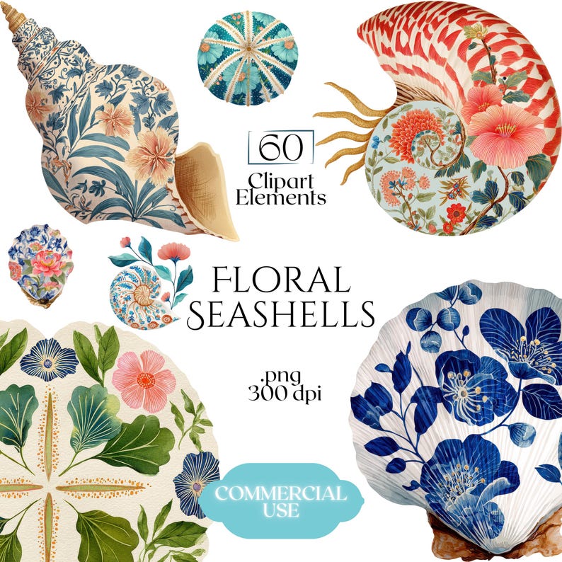 Floral Seashells Clipart, Chinoiserie Seashell PNG Graphics, Coastal Floral Shell Illustrations (60 Files, Transparent Background)