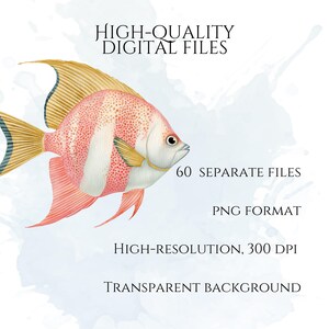 Pastel Fish Clipart, Delicate Coastal PNG Graphics, Tropical Fish Illustrations (60 Files, Transparent Background)
