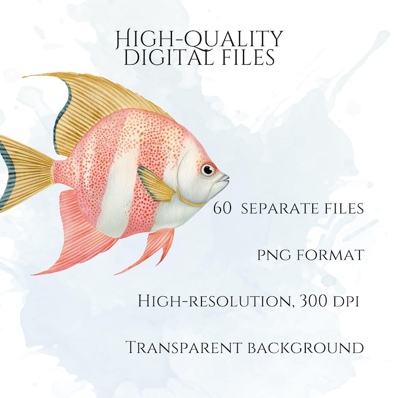 Pastel Fish Clipart, Delicate Coastal PNG Graphics, Tropical Fish Illustrations (60 Files, Transparent Background)