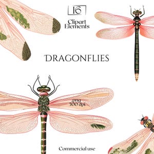 Libel clipart, libellen png, schattige insecten illustraties, romantische ongewenste tijdschrift ephemera, roze insecten plakboekversieringen, commercieel gebruik
