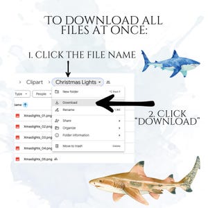 Shark Clipart, Watercolor Shark Illustrations, Shark Graphics for Kids' Room, Classroom Decor, Invitations, Branding & Print on Demand
