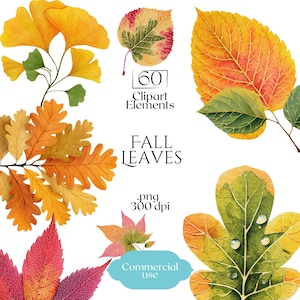 May include: Watercolor illustration of various fall leaves in shades of yellow, orange, red, and green. The image includes text that reads "60 Clipart Elements", "Fall Leaves", ".png 300 dpi", and "Commercial use".