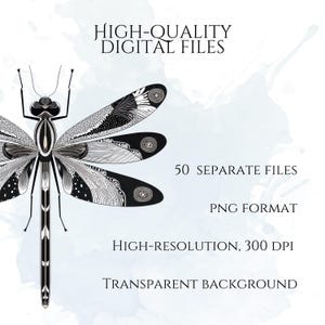 Art Deco Insect Clipart, Vintage Bug Graphics, Modern Cicada Dragonfly Moth Illustrations (50 Files, Transparent Background)