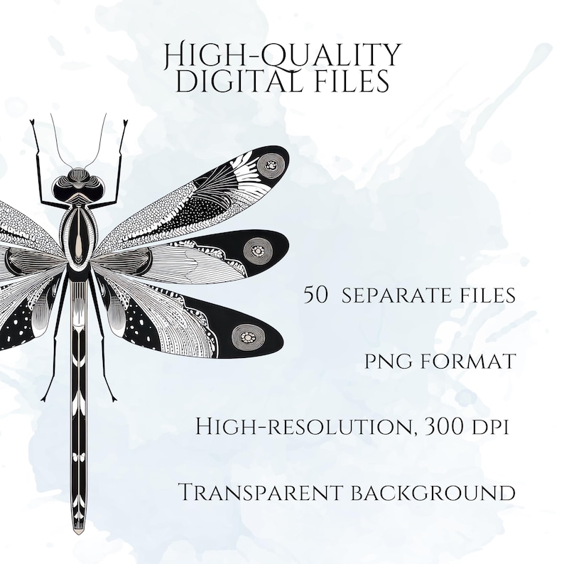 Art Deco Insect Clipart, Vintage Bug Graphics, Modern Cicada Dragonfly Moth Illustrations (50 Files, Transparent Background)