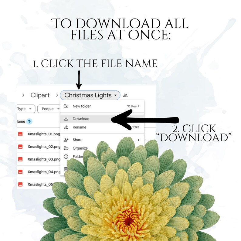 Chrysanthemums Clipart, Vintage Mum Flower Illustrations, Botanical Chrysanthemum PNG Graphics for Crafts, Invitations, Scrapbooking & POD