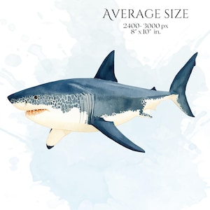 Shark Clipart, Watercolor Shark Illustrations, Shark Graphics for Kids' Room, Classroom Decor, Invitations, Branding & Print on Demand