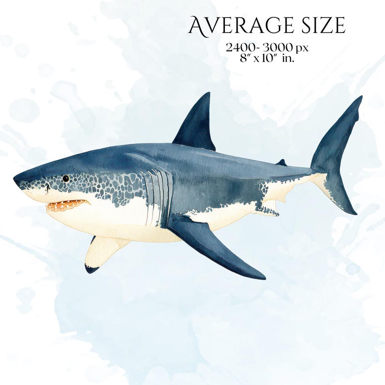 Shark Clipart, Watercolor Shark Illustrations, Shark Graphics for Kids' Room, Classroom Decor, Invitations, Branding & Print on Demand