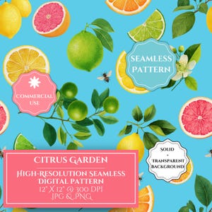 Digitalt citrusträdgårdsmönster, sömlöst citrusfruktmönster, citronlimeapelsin botanisk bakgrund (heldragen och transparent bakgrund)