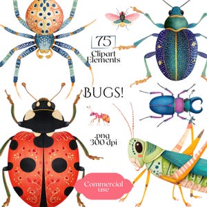 Bugs Clipart, Colorful Insect PNG Elements, Beetles Butterflies Bees Ants Grasshoppers Spiders, 75 Watercolor Bug Illustrations for Crafts