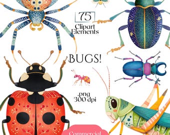 Bugs Clipart, Colorful Insect PNG Elements, Beetles Butterflies Bees Ants Grasshoppers Spiders, 75 Watercolor Bug Illustrations for Crafts