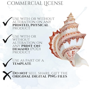 Art Nouveau Seashells Clipart, Ornamental Vintage Sea Shell PNG Graphics with Transparent Background for Branding, Decor & POD