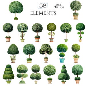 Topiary Clipart, Garden Tree Elements, Potted Greenery Clip Art, Formal Landscape Decorative Plant Illustrations Commercial Use Plant Images
