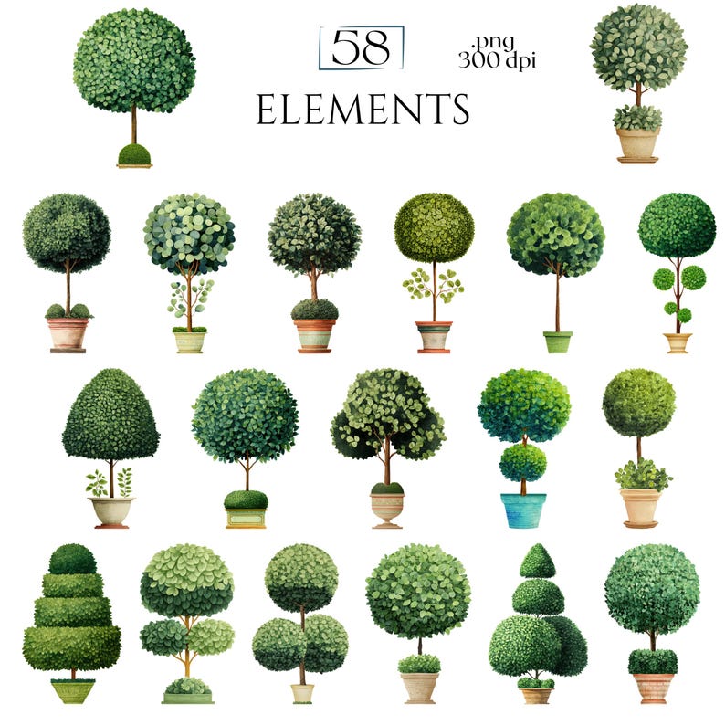 Topiary Clipart, Garden Tree Elements, Potted Greenery Clip Art, Formal Landscape Decorative Plant Illustrations Commercial Use Plant Images