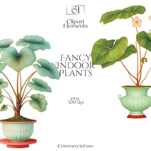 以下が含まれることがあります： 装飾的な鉢植えの屋内植物のイラストが2つ。植物は大きく緑の葉を持ち、白い背景になっています。画像の中央には「FANCY INDOOR PLANTS」というテキストがあります。