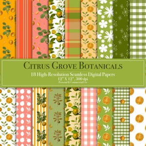 Citrus Grove Botanicals digitale papierset, oranje fruit naadloos patroon, citrusbomen plakboekpapier, sinaasappelbomen en fruit junk Journal