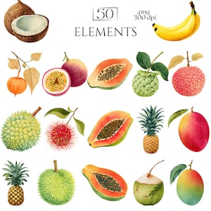 Exotic Fruit PNG Bundle