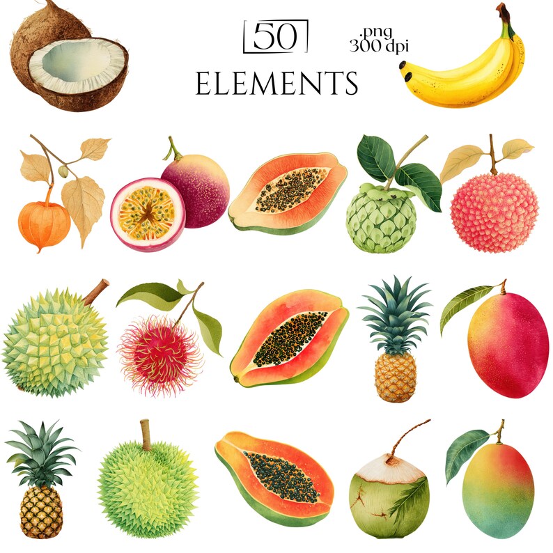 Exotic Fruit PNG Bundle