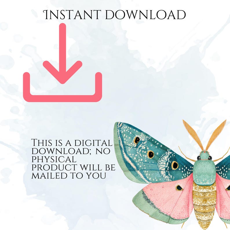 Pastel Moths Clipart, Watercolor Moth Illustrations, Colorful Moth PNG Graphics (60 Files, Transparent Background)