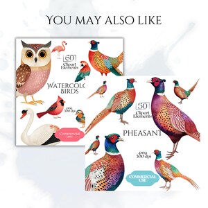 Puede incluir: Conjunto de im&aacute;genes predise&ntilde;adas de aves en acuarela con ilustraciones de b&uacute;ho, cisne, cardenal y fais&aacute;n. El conjunto incluye 60 elementos de im&aacute;genes predise&ntilde;adas de aves y 50 elementos de im&aacute;genes predise&ntilde;adas de faisanes. Im&aacute;genes .png a 300 ppp.
