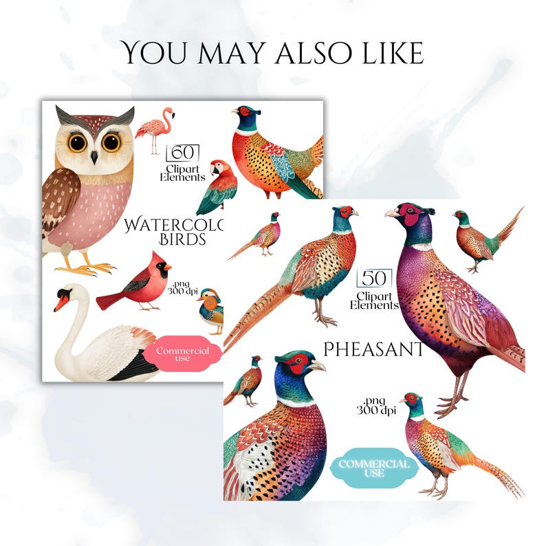 Puede incluir: Conjunto de im&aacute;genes predise&ntilde;adas de aves en acuarela con ilustraciones de b&uacute;ho, cisne, cardenal y fais&aacute;n. El conjunto incluye 60 elementos de im&aacute;genes predise&ntilde;adas de aves y 50 elementos de im&aacute;genes predise&ntilde;adas de faisanes. Im&aacute;genes .png a 300 ppp.